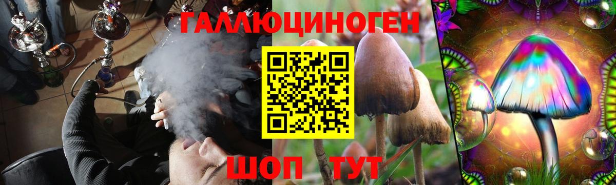 Псилоцибиновые грибы Psilocybine cubensis  Вход с VPN  Апрелевка 